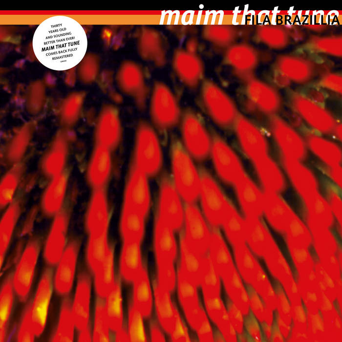 Fila Brazillia - Maim That Tune 30th