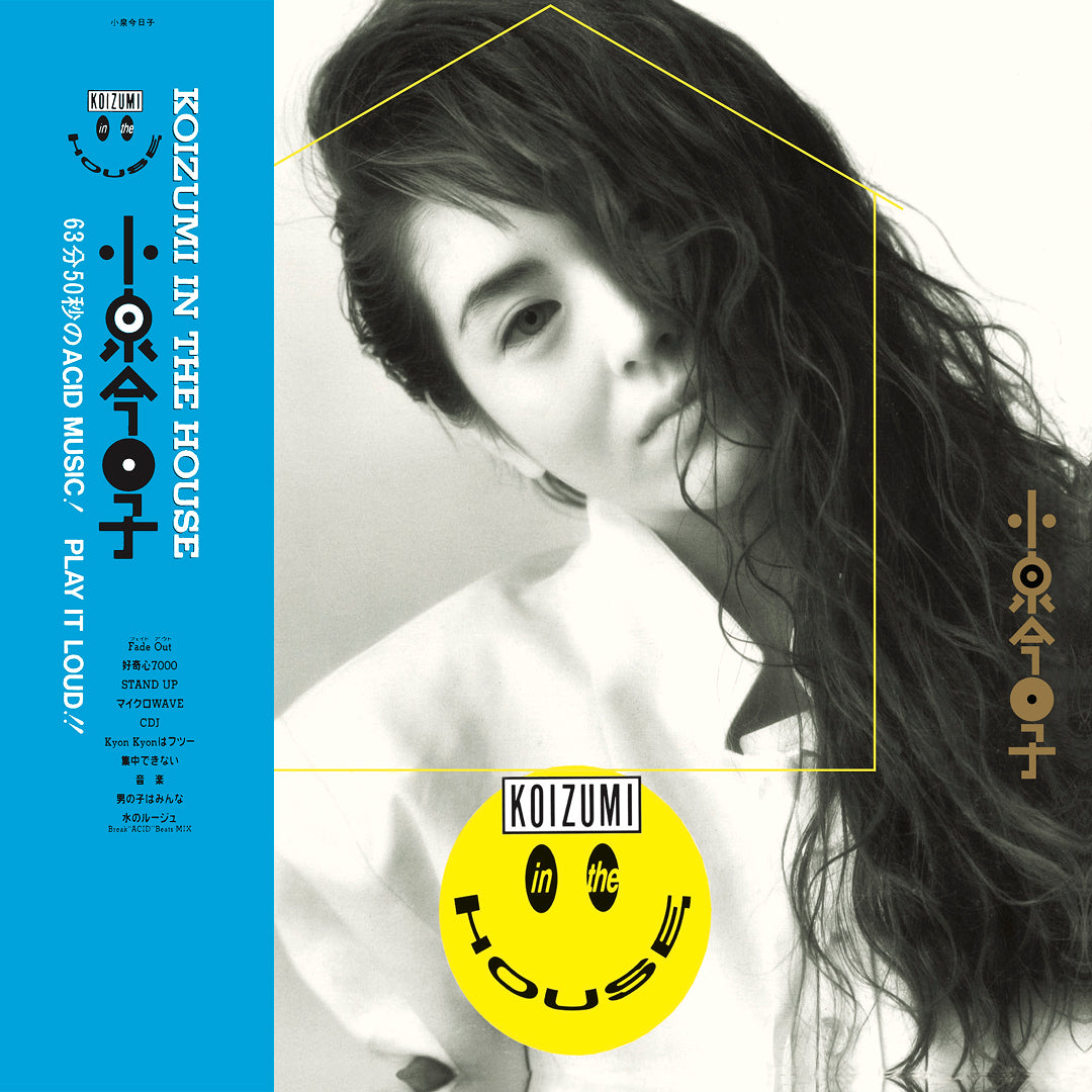 Kyoko Koizumi - Koizumi In The House