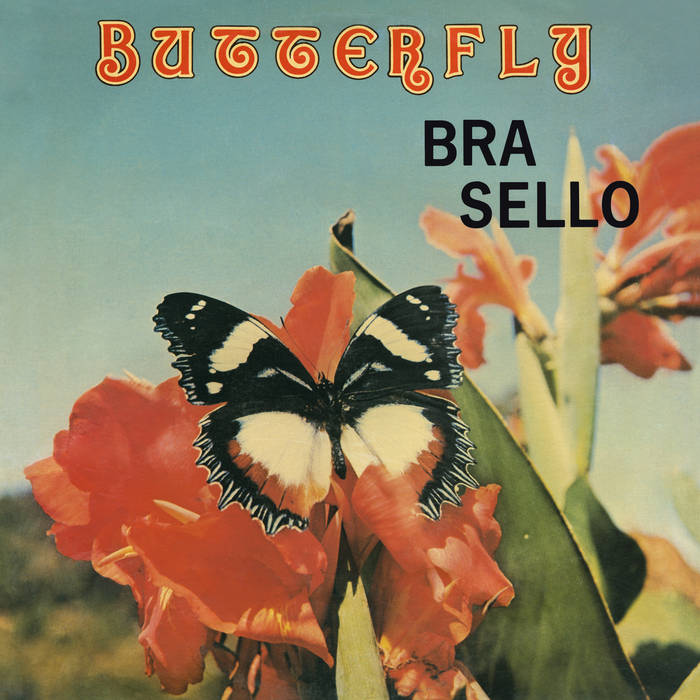 Bra Sello - Butterfly