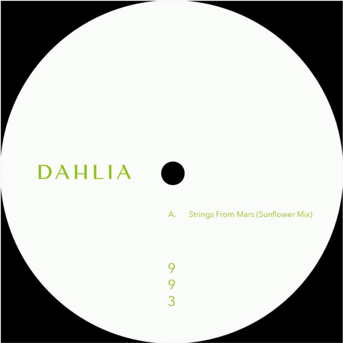 S.A.M. - Dahlia 993