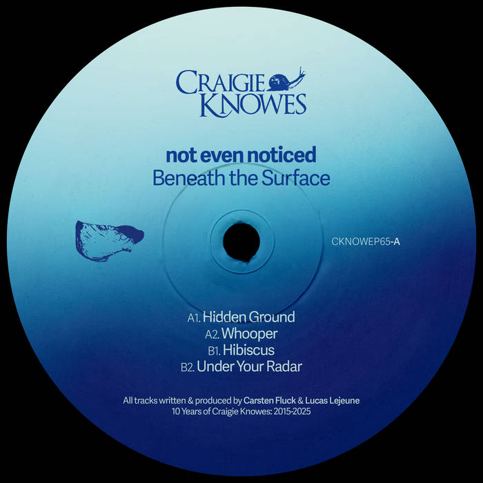 not even noticed - Beneath The Surface