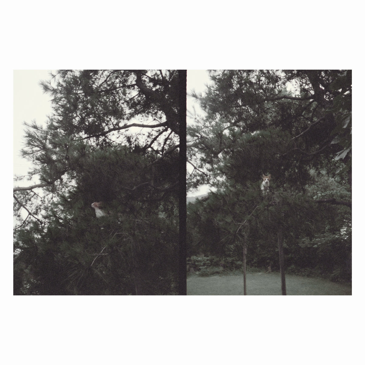 okkyung lee - just like any other day (어느날): background music for your mundane activities
