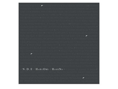 Haruomi Hosono - N.D.E.