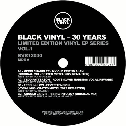 V/A - Black Vinyl 30 Years