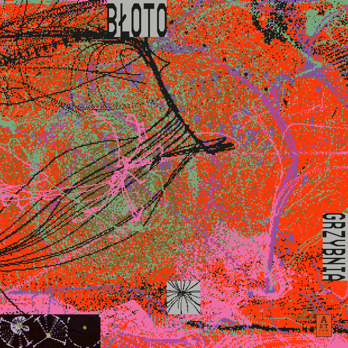Błoto - Grzybnia