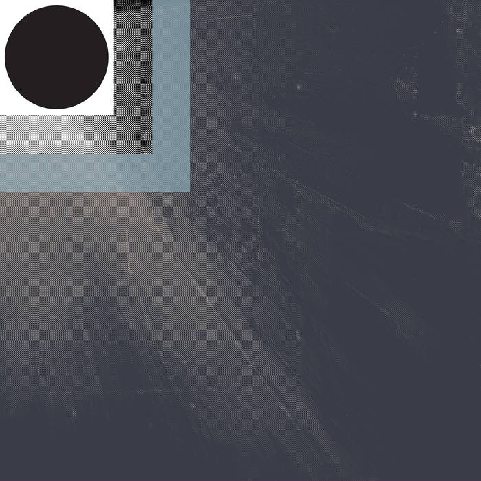 Conna Haraway - Shifted