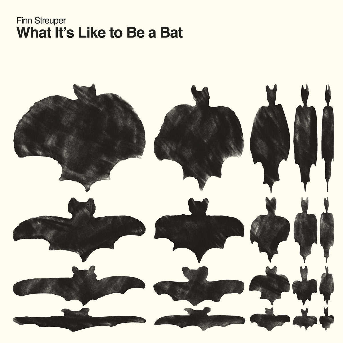 Finn Streuper - What It's Like To Be A Bat