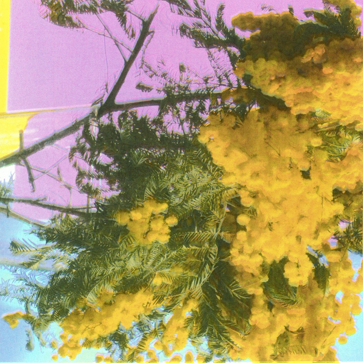 FOUR TET - INTO DUST (STILL FALLING)