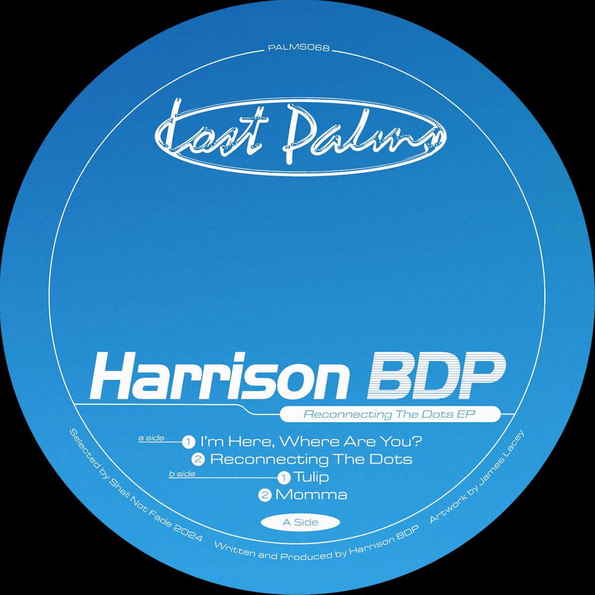 Harrison BDP - Connecting The Dots EP (Blue Vinyl)