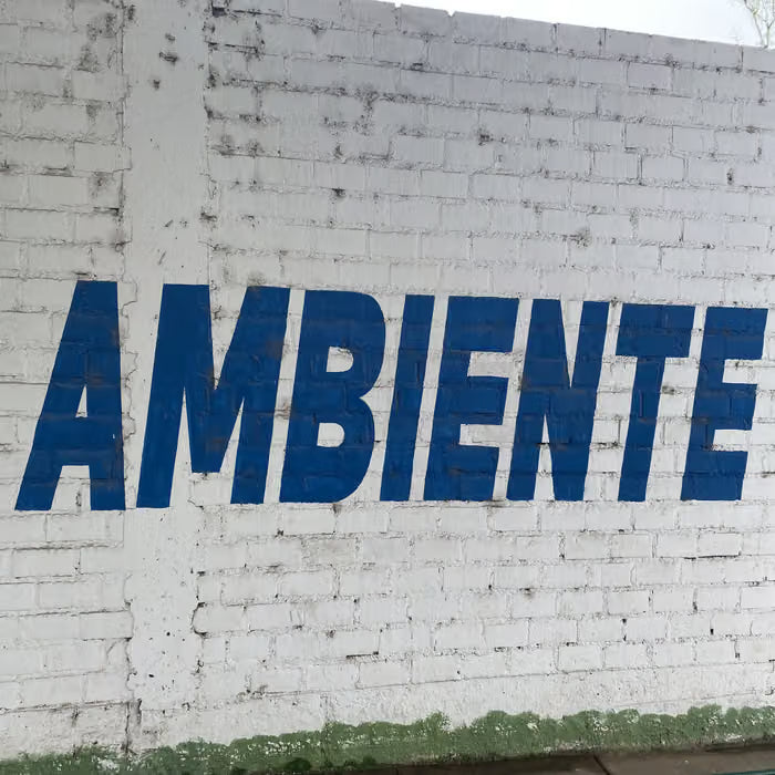 Jex Opolis - Ambiente