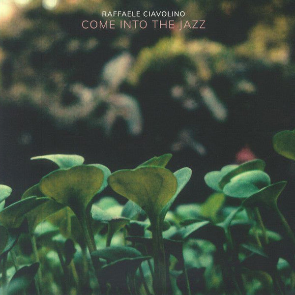 Raffaele Ciavolino - Come Into The Jazz