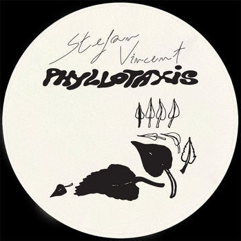 Stefan Vincent - Phyllotaxis