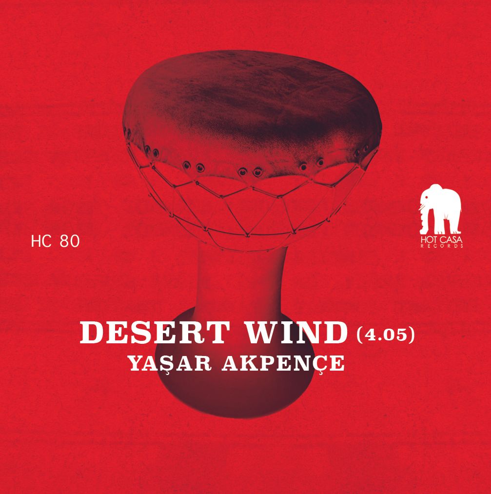 Yaşar Akpençe - Desert Wind