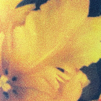 nthng - Last Light of the Sun
